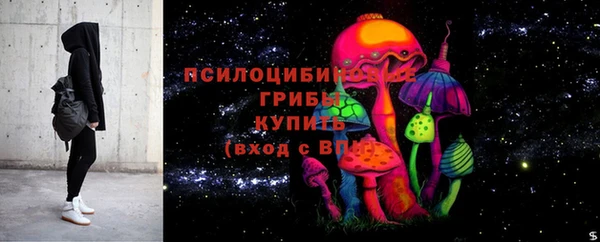 хмурый Бородино
