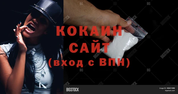 тгк Бронницы
