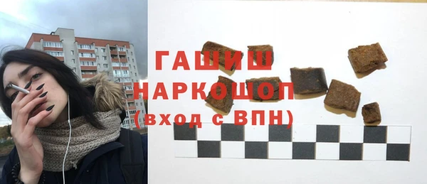 хмурый Бородино