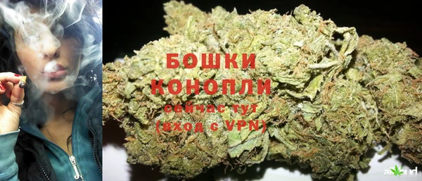 хмурый Бородино