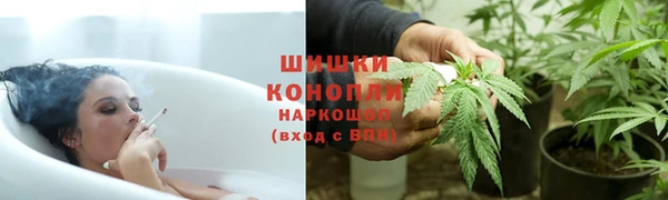 тгк Бронницы