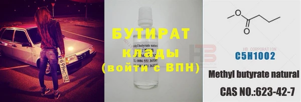 хмурый Бородино