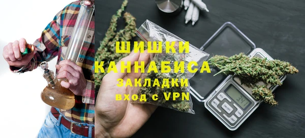 хмурый Бородино
