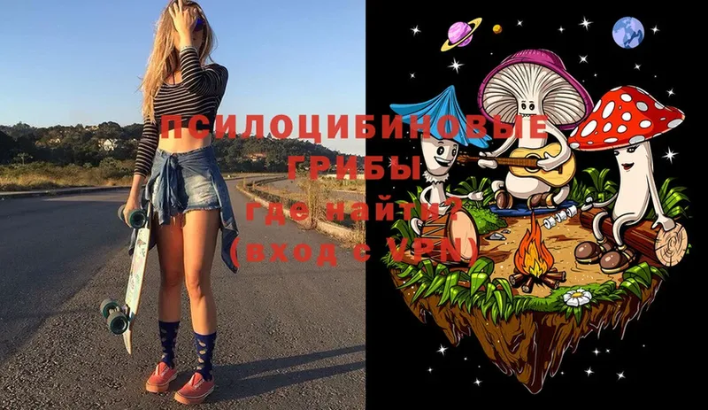 Галлюциногенные грибы MAGIC MUSHROOMS  где купить наркоту  Вилючинск 